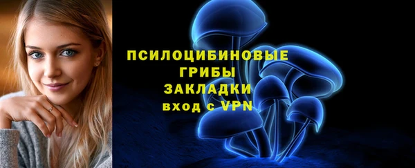 кокс Козловка