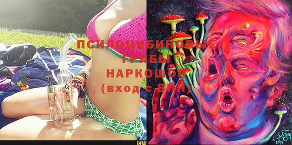 a pvp Козельск