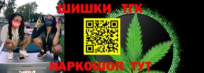 крисы Гатчина