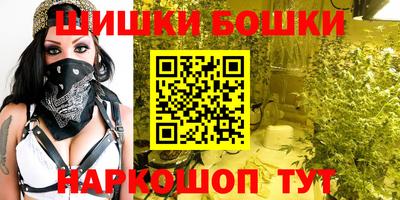 крисы Гатчина