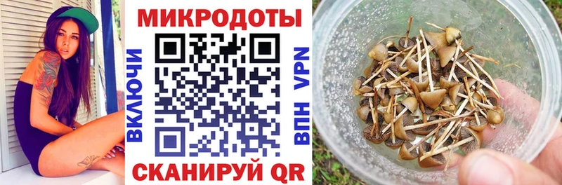 как найти закладки  Грозный  MEGA ссылки  Псилоцибиновые грибы MAGIC MUSHROOMS 