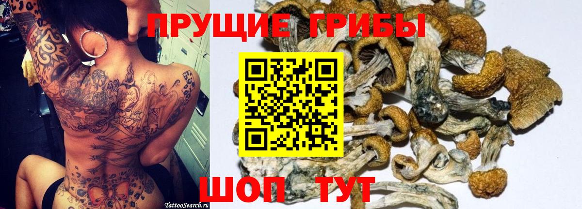 Псилоцибиновые грибы мухоморы  Грозный 