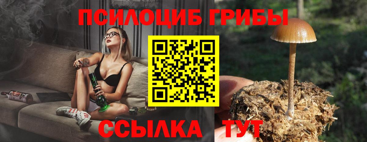 Галлюциногенные грибы Magic Shrooms Грозный