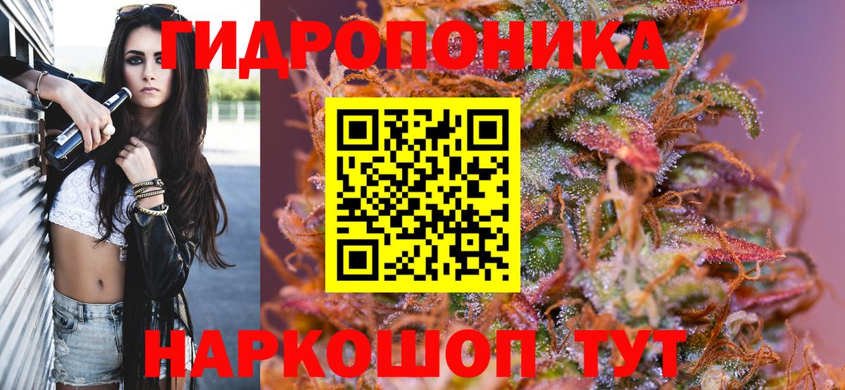 МАРИХУАНА планчик  Грозный  Бошки марихуана сатива  Бошки Шишки Ganja  Бошки Шишки план 